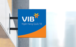 VIB hoàn tất nộp ngân sách năm 2024 lên 2.624 tỉ đồng