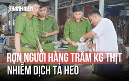 Rợn người hàng trăm kg thịt nhiễm dịch tả heo châu Phi tại Cần Thơ