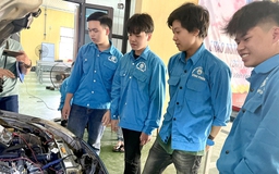 Sắp xếp cơ sở giáo dục: Bài học cơ cấu nhân lực các quốc gia phát triển