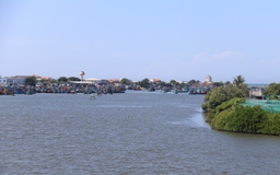 Ăn cá nóc, 5 người nhập viện