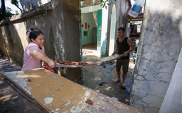 Cảnh báo dịch bệnh sau mưa lũ