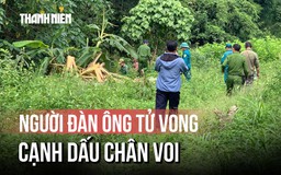 Người đàn ông tử vong trong rừng Lâm Đồng, nghi bị voi rừng giẫm chết
