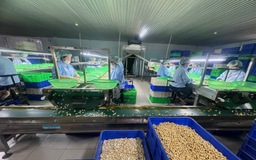 Những quy định tréo ngoe chờ tháo gỡ