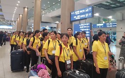 Nhu cầu lao động thời vụ tại Hàn Quốc tăng 41%, cơ hội cho lao động Việt