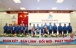 Tuổi trẻ Công ty Điện lực Quảng Ngãi: Đoàn kết - Bản lĩnh - Đổi mới - Phát triển