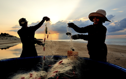 Làng chài Hồ Lân: Người Quảng Trị mang giấc mơ biển vào vùng đất mới