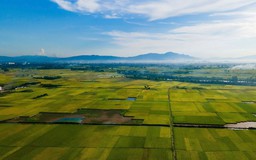 Hà Nội tập trung phát triển nông sản có tiềm năng xuất khẩu