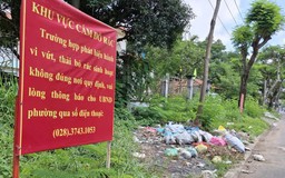 Rác tràn lan trên đường và trước trường học