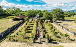 Làm sao 'đánh thức' thành Hoàng Đế?