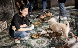 Mở trạm để chó, mèo có nhà ở
