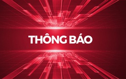 Thông báo thu hồi đất thực hiện Dự án Đầu tư phát triển đảo Hòn Tre 