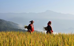 Lô Lô Chải - Làng du lịch tốt nhất thế giới