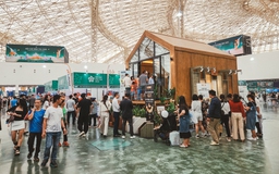 Mô hình nhà gỗ công nghệ cao CLT lần đầu ra mắt tại Việt Nam