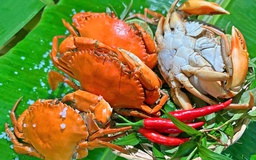 Cua yếm vuông Cà Mau: Đặc sản khiến dân sành ăn 'lơ' luôn cua gạch