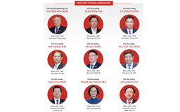 Thủ tướng phân công nhiệm vụ của 9 Phó thủ tướng
