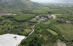 Gia Lai chuyển đổi hơn 80 ha đất rừng để triển khai 7 dự án