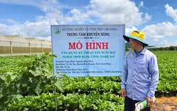 Lâm Đồng giải thể 14 trạm kỹ thuật nông nghiệp, cán bộ viên chức chuyển về đâu?