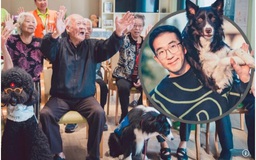 Bỏ công việc tốt để thành 'cha đẻ chó trị liệu' giúp người tự kỷ, trầm cảm