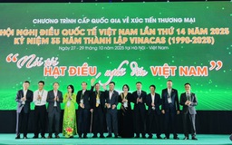 Tiếp tục cạnh tranh giảm giá, ngành điều Việt Nam khó tồn tại