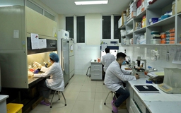 Viện Vệ sinh dịch tễ T.Ư nghiên cứu về bệnh truyền nhiễm mới nổi và tái nổi