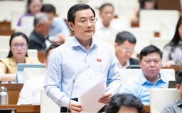 Đại biểu đề xuất đạo luật đặc biệt cho TP.HCM như Tokyo, Thượng Hải