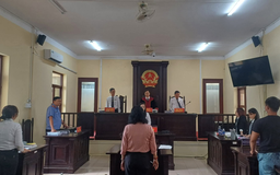 Cà Mau: Nữ doanh nhân thủy sản kêu oan vụ hủy hoại tài sản 35 triệu đồng