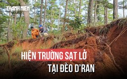Lâm Đồng thuê tư vấn khảo sát đánh giá đèo D’Ran QL20 sạt lở
