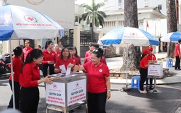 Hội Chữ thập đỏ TP.HCM phát động quyên góp ủng hộ đồng bào bị thiên tai