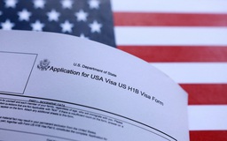 Một liên minh nỗ lực ngăn ông Trump áp phí 100.000 USD đối với thị thực H-1B