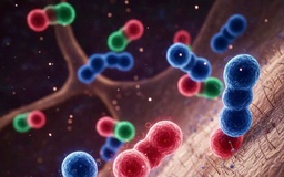 'Vi khuẩn ác mộng' gia tăng ở Mỹ nguy hiểm cỡ nào?