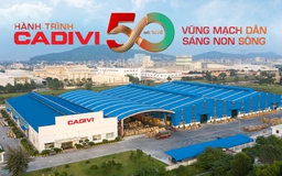 Hành trình CADIVI 50 năm ‘Vững mạch dẫn - Sáng non sông’
