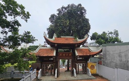 Chùa Linh Phong Thiền Uyển, nơi trưởng lão hòa thượng Thích Trí Tịnh khai sơn