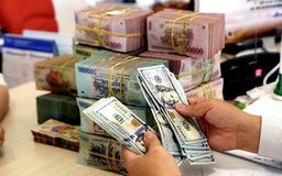 Sự ổn định của Việt Nam và giải thưởng của Thống đốc