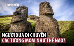 Một bí ẩn về các tượng đầu người khổng lồ trên đảo Phục Sinh đã được giải?