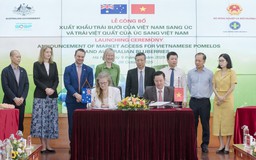 VN - Úc tăng cường nhập khẩu trái cây lẫn nhau