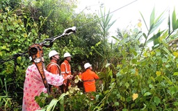 EVNCPC đã khôi phục cấp điện cho hơn 84% khách hàng bị ảnh hưởng do mưa lũ