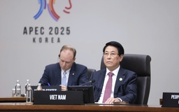 APEC cần phát huy vai trò tiên phong trong quản trị kinh tế số và AI