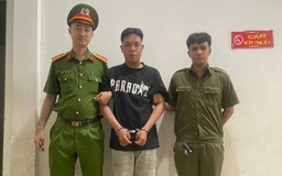 Công an tóm gọn nghi phạm cướp giật tài sản sau 7 giờ gây án