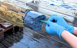 Phát hiện dấu vết bí ẩn của sự sống ở nơi không ngờ đến