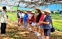 Dấu ấn Đà Nẵng trên hành trình phát triển xanh và bền vững