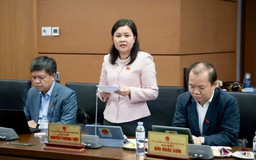 Mô hình thi hành án dân sự: Đại biểu Quốc hội chỉ ra nhiều bất cập