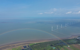 Vĩnh Long phát triển năng lượng xanh gắn với tiềm năng du lịch