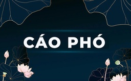 Vabis Group báo tin buồn: Thân mẫu Chủ tịch Nguyễn Ngọc Mỹ qua đời