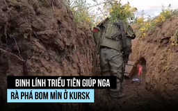Xem binh sĩ Triều Tiên giúp Nga rà phá bom mìn ở Kursk