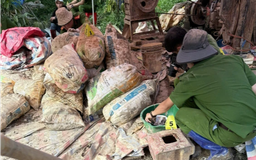 Công an Lâm Đồng triệt phá vụ khai thác vàng trái phép