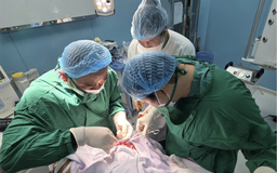 Côn Đảo: Cấp cứu ngư dân bị nhiều vết chém toàn thân, nguy kịch