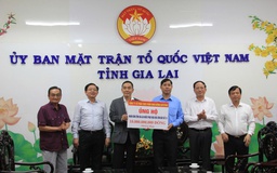 Nutifood ủng hộ 10 tỉ đồng hỗ trợ người dân Gia Lai bị ảnh hưởng bão Kalmaegi