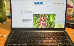 Thanh Niên và tôi: 22 năm gắn bó với Báo Thanh Niên Online