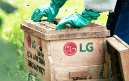 Đại sứ Cộng đồng LG 2025: Hành trình cùng cộng đồng kiến tạo tương lai bền vững