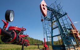 Giá xăng dầu hôm nay 17.11.2025: Tiến đến tuần giảm